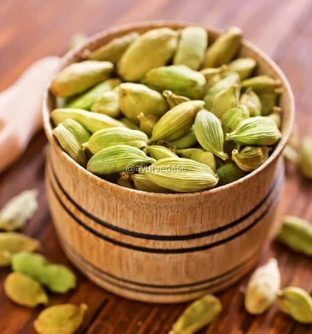 Cardamomo