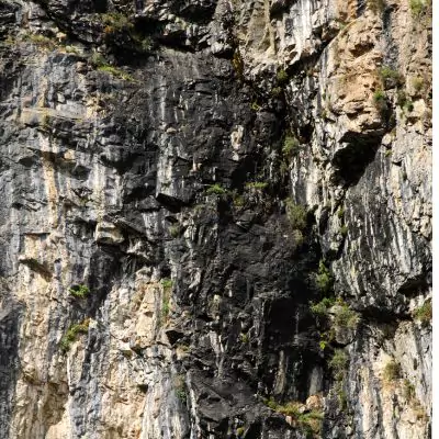 Shilajit