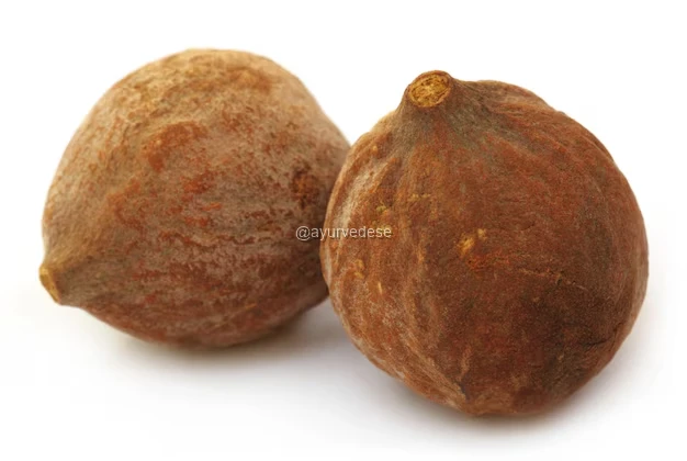 Bibhītaki / Baheda
